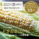 【ふるさと納税】『きたむら農園のどきどきコーン』×10本セット（約4～4.2kg相当）2025年夏の予約受付開始！ 信濃町名産とうもろこし／スイートコーンの定番品種、予約受付中！　2024年8月下旬まで随時出荷