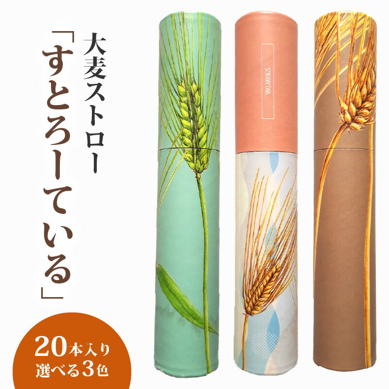 【ふるさと納税】天然素材 エコ ストロー 大麦 すとろーている 20本 ケース入り 選べる 栽培期間中農薬不使用 SDGs 土に還る 脱プラ 脱プラスチック インテリア おしゃれ 環境保全 人気 自然 地域 お土産 贈り物 プレゼント 国産 送料無料