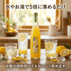 柚子シロップ 550ml×2本（柚子果汁と砂糖のみ）abuiro