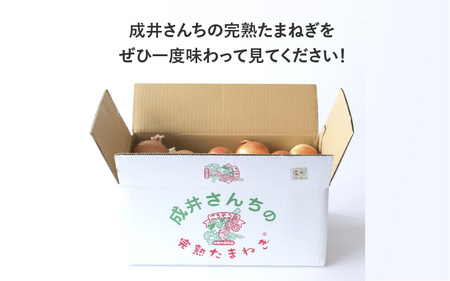 【先行予約】成井さんちの完熟たまねぎ5㎏　2025年収穫分