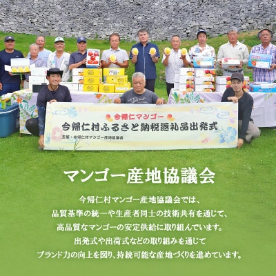 【2026年7月中旬から順次発送】今帰仁産の幻の黄金マンゴー2kg(4～6玉)【配送不可地域：離島】