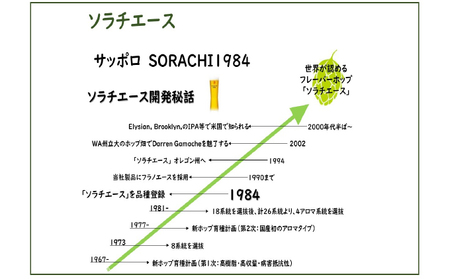 上富良野町発祥！伝説のホップ「ソラチエース」使用【SORACHI 1984】350ml×24缶 吉澤商店 北海道 上富良野町 ソラチ1984 お酒 酒 飲み物 ビール 地ビール