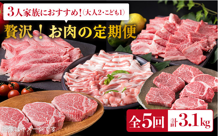 
美味しさ 満載 ！ 贅沢 お肉 セット の 定期便 全5回（月1回） 3人 家族用 【福岡 糸島産 牛肉 豚肉 鶏肉 ステーキ しゃぶしゃぶ すき焼き ヒレ シャトーブリアン ロース 】 糸島 / 糸島ミートデリ工房 [ACA084] 定期便 博多 和牛
