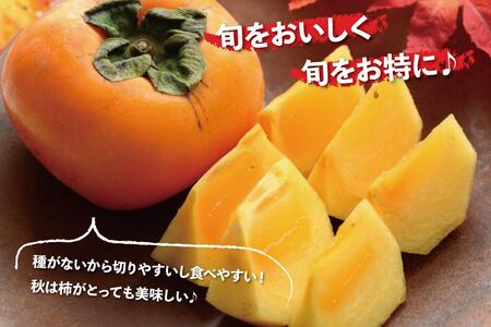＜10月より発送＞たねなし柿 約2.5kg［刀根早生・平核無柿（ひらたねなしかき）］［カキ・種無柿・種無し柿・種なし柿・無核柿］［IKE95］