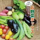 【ふるさと納税】新鮮お野菜ボックス（京都・京丹波町産）≪栽培期間中農薬不使用の安心安全こだわり野菜≫ ※北海道・沖縄は配送不可