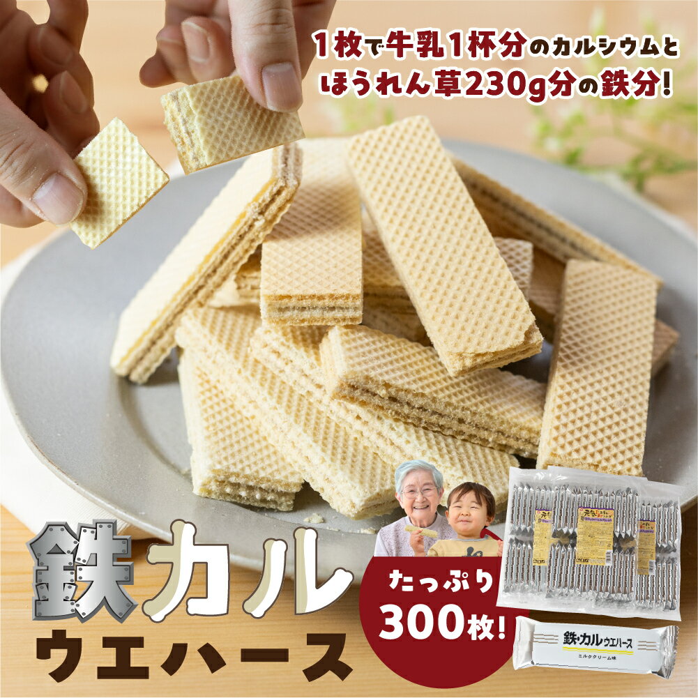 【ふるさと納税】業務用 元気!鉄カルウエハース 鉄分 カルシウム 鉄分不足 カルシウム不足 栄養食品 栄養補給 お菓子 骨元気 骨 美味しい お子様にも 愛知県 豊橋市 17000円