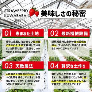 【いちご】やよいひめ 約800g  いちご 群馬県 前橋市