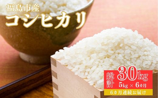 No.1502【令和6年産】大文字屋米穀店【定期便6回】コシヒカリ 5kg 精米（6か月連続お届け）