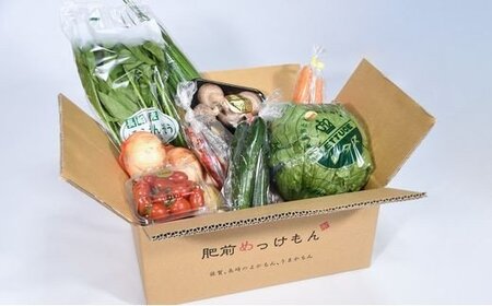 【12ヶ月 定期便】 肥前の国のお野菜定期便 新鮮 採れたて 野菜 直売所 野菜 8～10品目 野菜定期便 J-14