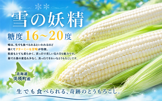 【令和８年産予約受付！】黒木農場　とうもろこし（雪の妖精）8本[009-33]