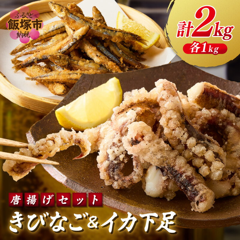 【ふるさと納税】イカ下足唐揚げ&ピリ辛明太子漬けきびなごの唐揚げ 各1kg【C2-017】