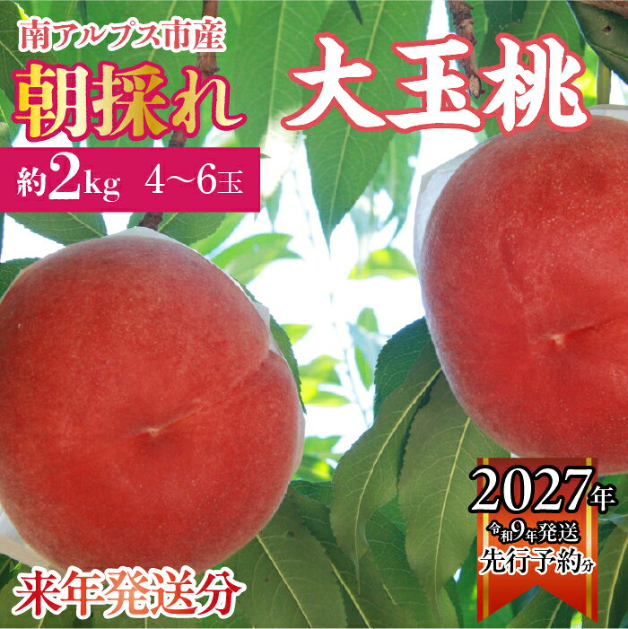 【ふるさと納税】 ＜2027年発送先行予約＞厳選！南アルプス市産　朝採れ大玉桃　約2kg（4〜6玉） ふるさと納税 もも 桃 大玉 果物 フルーツ おすすめ 山梨県 南アルプス市 送料無料 ALPDD004