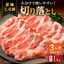 【ふるさと納税】【3回定期便】若楠三元豚 切り落とし 1kg（250g×4パック）/ナチュラルフーズ[UBH074]