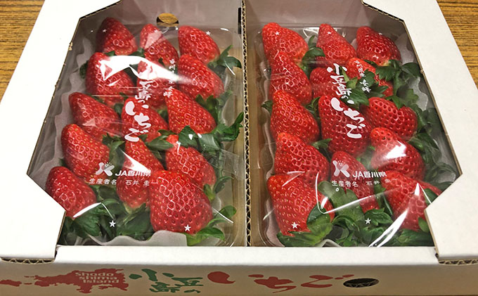 【 小豆島 】【3月からの発送】小豆島のいちご（女峰）DXパック (250g×2パック入り) 果物類 苺 イチゴ 