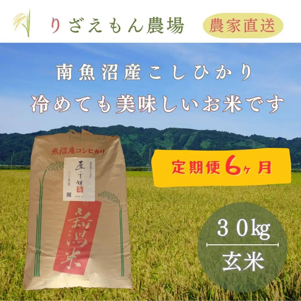 《令和8年産　新米予約受付》【定期便６回×玄米３０kg≪合計１８０kg≫】南魚沼産コシヒカリ　玄米 ３０kg　＼生産農家直送／【2026年10月上旬より順次発送予定】