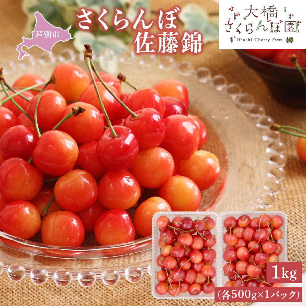 【ふるさと納税】【 先行受付 】さくらんぼ 佐藤錦 1kg (500g×2パック) チェリー フルーツ 果物 旬のフルーツ 旬の果物 くだもの 北海道 芦別市　お届け：2026年7月上旬頃～