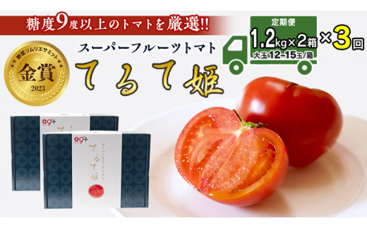 
【 先行予約 】【 3ヶ月 定期便 】 てるて姫 中箱 約1.2kg × 2箱 【12〜15玉/1箱】 糖度9度 以上 野菜 フルーツトマト フルーツ トマト とまと [AF050ci]
