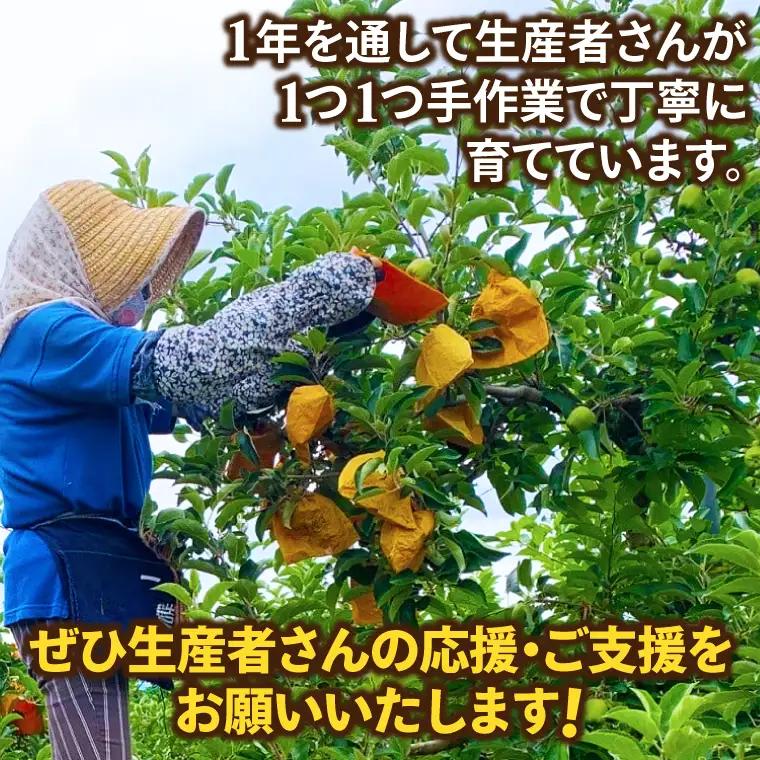 【先行予約】自家用 りんご そばかす「冬恋」 (AI023)りんご