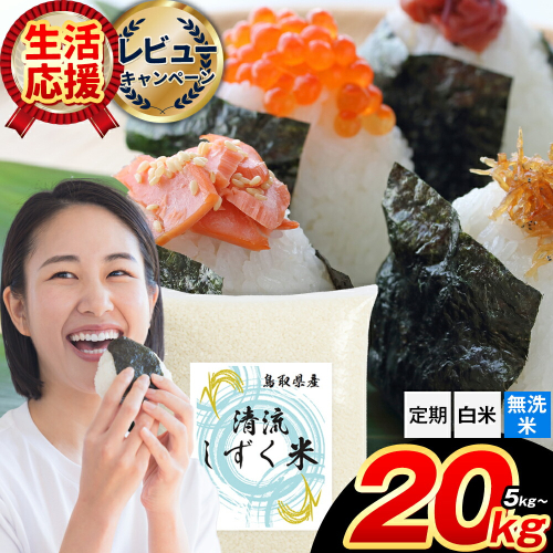 鳥取 ふるさと 無洗米 白米 選べる内容量 5kg 10kg 15kg 20kg 清流しずく米《出荷時期をお選びください》鳥取県 八頭町 米 お米 白米 ご飯 八頭 ふるさと無洗米 生活応援 定期便 ブレンド米 複数原料米 訳あり 小分け kome ご飯
