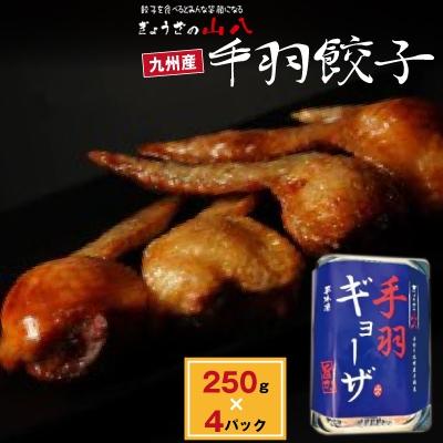 ふるさと納税 福津市 【山八】手羽餃子　約1kg[F4316s]