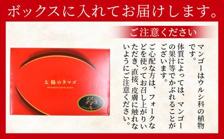 ＜宮崎県産 太陽のタマゴ A等級 A5Lサイズ×1玉（約700g）＞2025年4月下旬～2025年6月下旬迄に順次出荷【 太陽のタマゴ 完熟マンゴー 完熟 マンゴー フルーツ トロピカルフルーツ 果物