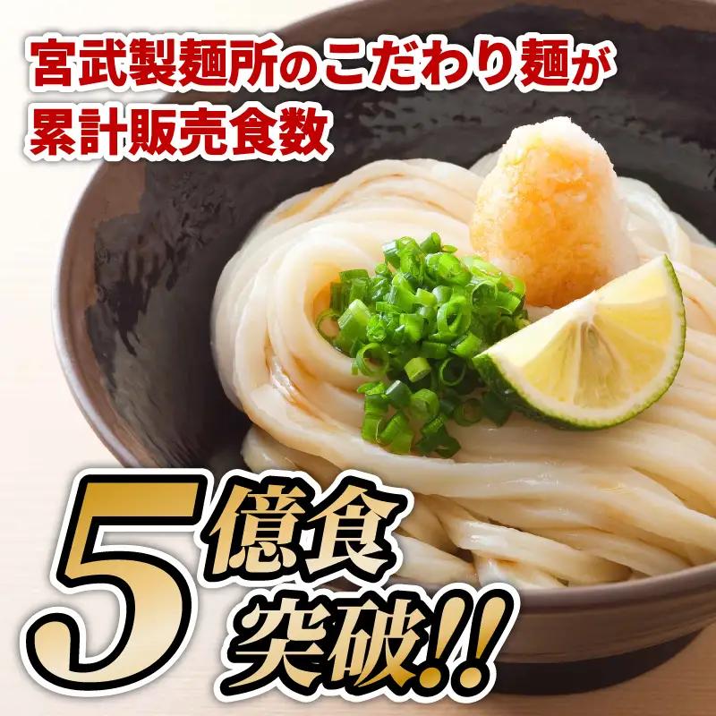 【定期便6回】うどん 香川 元祖さぬきゆでうどん 20人前  宮武讃岐製麺所 