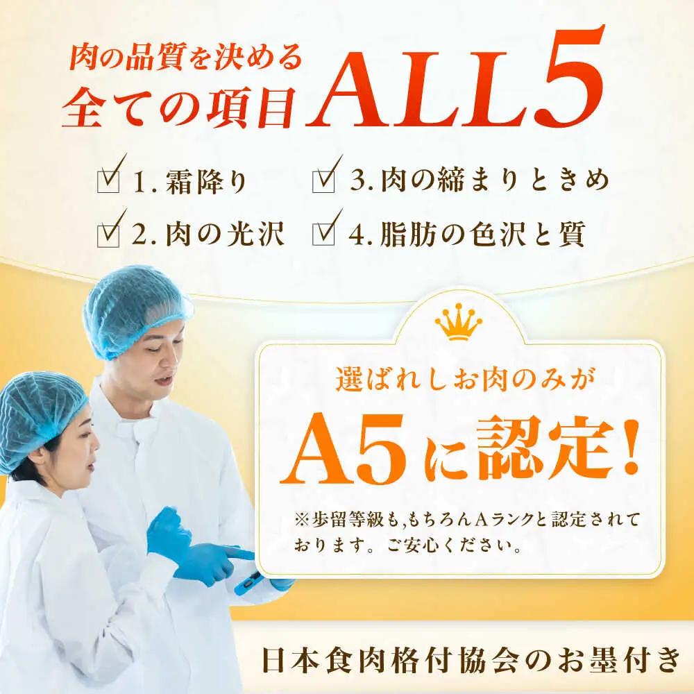 【12回定期便】A5ランク ヒレステーキ 200g×2枚 / ステーキ[AFCH004]