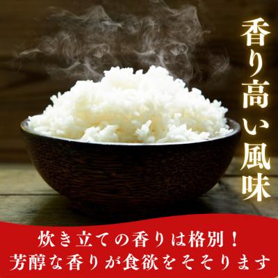 ふるさと納税 小浜市 令和7年産　福井県産こしひかり白米10kg |  | 03