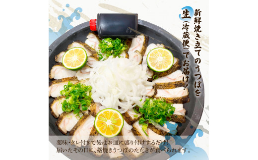 藁焼きうつぼのたたき（タレ・薬味付き）約200g 2～3人前 タタキ ウツボ うつぼ 高知県産 珍味 美味しい 薬味 タレ付き 新鮮 冷蔵 本場 わら焼き セット【さかなの森澤　マル祐】 [BQAM0