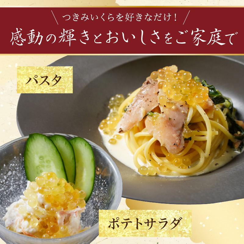 つきみいくら　醤油漬　100gパック　N0116-ZA0385