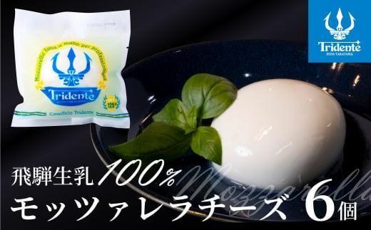 
                  飛騨生乳100％ モッツァレラチーズ 6個（1個125g）| チーズ モッツァレラ 冷蔵  個包装  生乳 国産 低温殺菌 乳製品 無添加 飛騨高山 チーズ工房トリデンテ LF003　｜ モッツァレラチーズ モッツァレラ チーズ ちーず モッツァレラチーズ モッツァレラ 生モッツァレラ フレッシュチーズ 国産チーズ 乳製品 カプレーゼ ピザ ピッツァ サラダ 
                