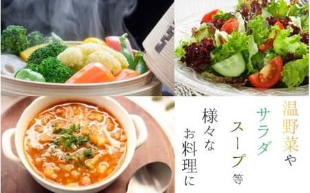 野菜 奈良県産 季節の大和野菜 おまかせ６種セット 【入金確認後２週間以内に発送】 葛城市【smlk041】