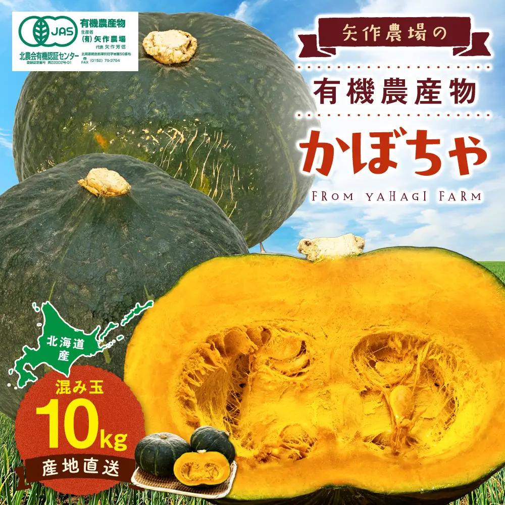 【先行受付】R8年産 有機栽培かぼちゃ 10kg | かぼちゃ カボチャ 南瓜 大容量 パンプキン 甘い 有機栽培 国産 産地直送 北海道 津別町 送料無料