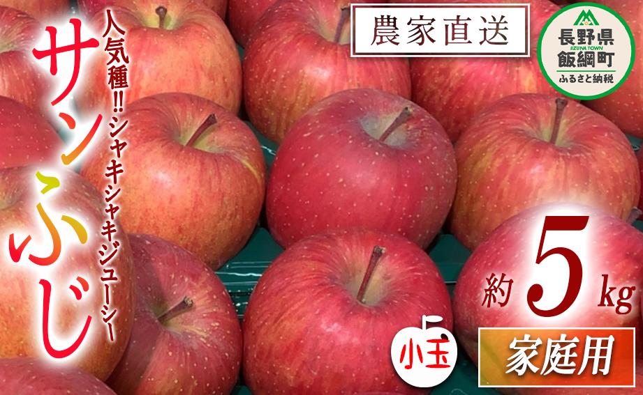 りんご サンふじ 家庭用 ( 小玉 ) 5kg 原山農園 沖縄県への配送不可 2026年1月上旬頃から2026年3月上旬頃まで順次発送予定 令和7年度収穫分 信州 果物 フルーツ リンゴ 林檎 長野 