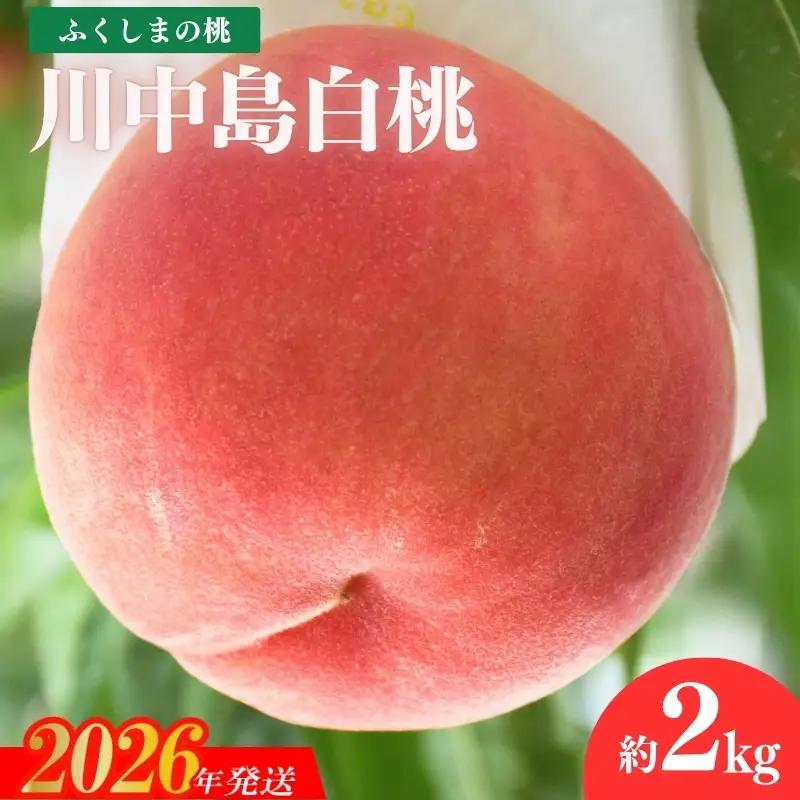 No.1978 もも「川中島白桃」約2kg【2026年発送】