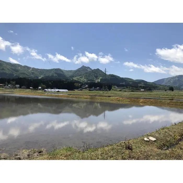 南魚沼塩沢産　従来型コシヒカリ　白米５ｋｇ×６回（定期便）｜コシヒカリ