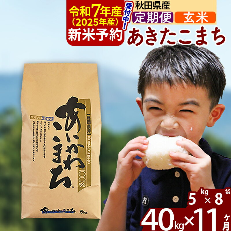 【ふるさと納税】※令和7年産 新米予約※《定期便11ヶ月》秋田県産 あきたこまち 40kg【玄米】(5kg小分け袋) 2025年産 お届け周期調整可能 隔月に調整OK お米 藤岡農産