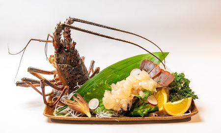 【先行受付】冷凍伊勢海老１kg（サイズおまかせ）エビ 甲殻類 海鮮BBQ アウトドア キャンプ お祝い【R00640】