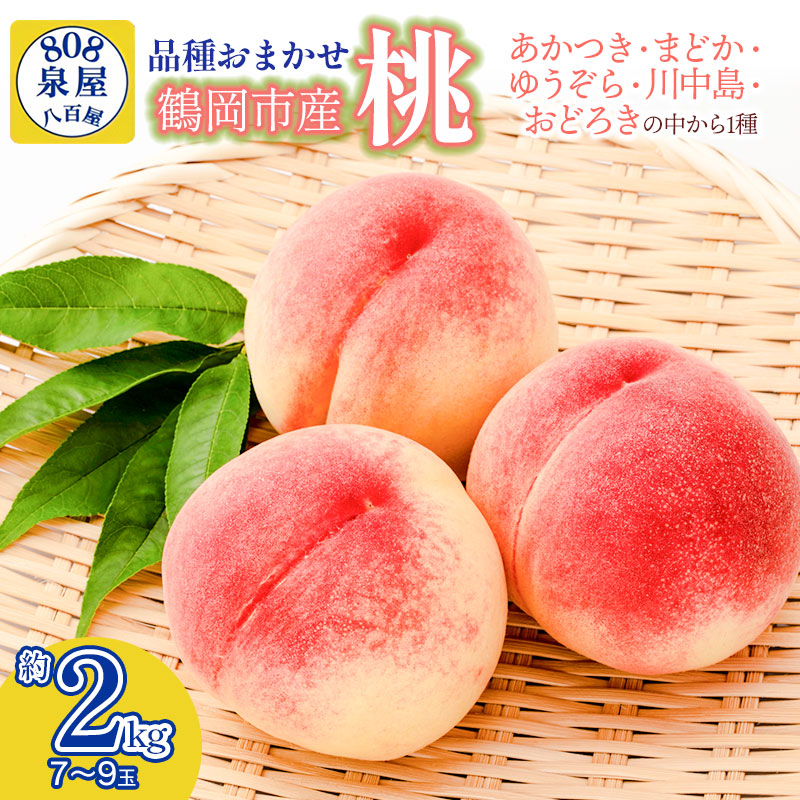 【令和7年産先行予約】鶴岡市産 桃（品種おまかせ）あかつき・まどか・ゆうぞら・川中島・おどろきの中から1種 約2kg（7～9玉） 泉屋商店　K-738