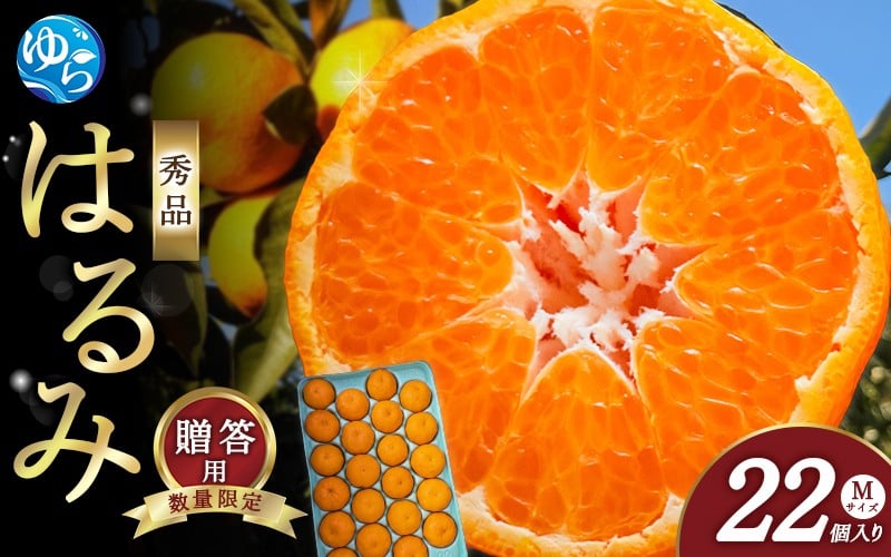 
                  【来シーズン先行予約】はるみ 和歌山みかん 秀品 Mサイズ 22個入り 贈答用※2026年1月中旬頃に順次発送予定 / はるみ 柑橘 贈り物 フルーツ 果物 くだもの 食品 人気 おすすめ 送料無料 由良町【ksmt013】
                