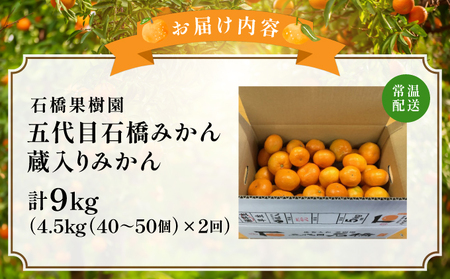 五代目・蔵入りみかん4.5kg×2回／ふるさと納税 佐賀 みかん オレンジ フルーツ濃厚 甘い 酸味 大町 贈答 ギフト 贈り物 42ik-005