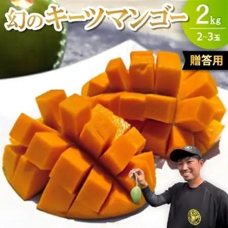 【2026年8月下旬から順次発送・贈答用】みなとばる農園の幻のキーツマンゴー2.0kg(2～3玉)【配送不可地域：離島】【1593001】