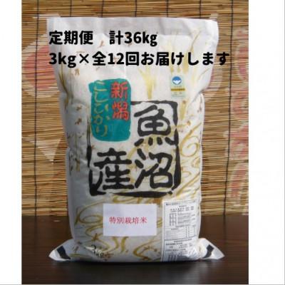 ふるさと納税 南魚沼市 【毎月定期便】がんこおやじが作った南魚沼産コシヒカリ　白米3kg×1袋全12回 |  | 02