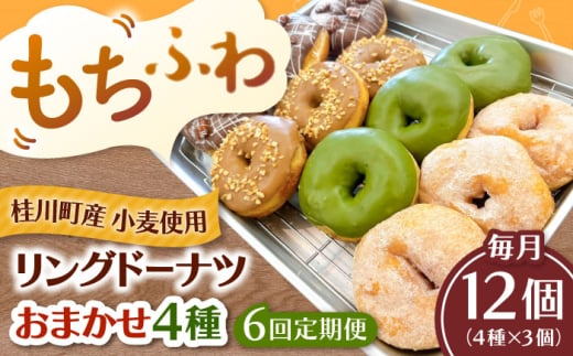 【全6回定期便】ふわもちリングドーナツ おまかせ12個セット（4種類×3個）桂川町/PIZZERIA TUTTI [ADBH052]