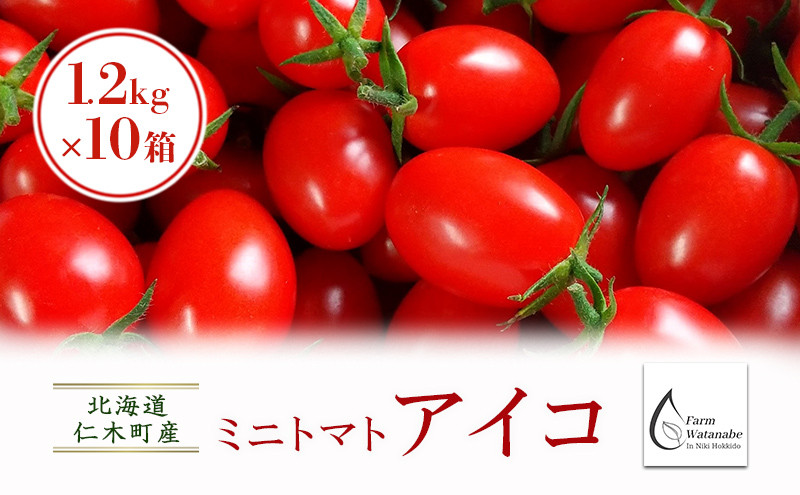 
                  北海道仁木町産ミニトマト【アイコ】1.2kg×10箱 サイズ混載 ［栽培期間中 農薬不使用］ 高糖度 果肉 厚い かため 日持ち 完熟 グルタミン酸 生食 加熱調理 農薬節約栽培 [Farm Watanabe]
                