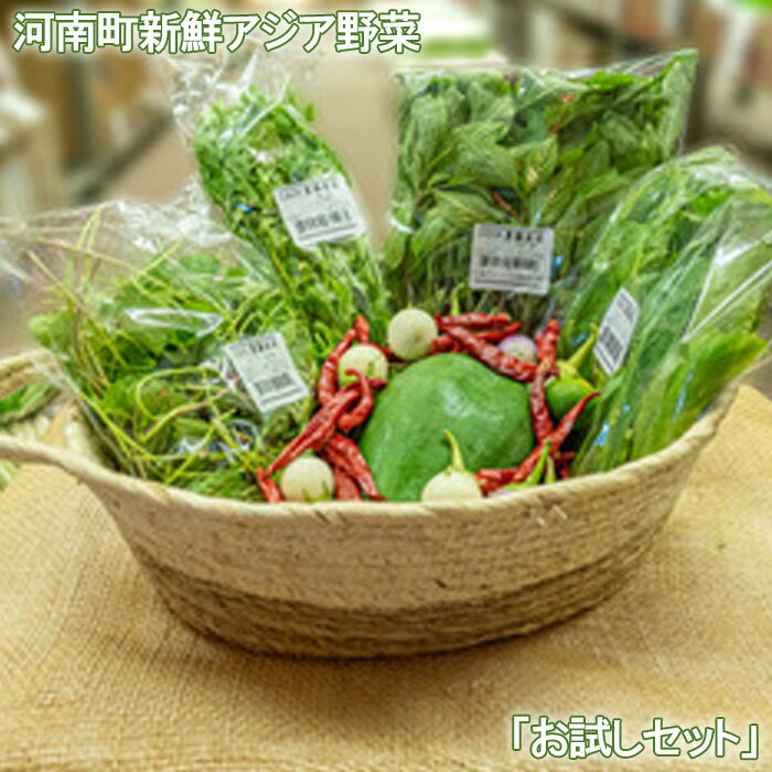 【ふるさと納税】No.331 河南町新鮮アジア野菜「お試しセット」 ／ やさい パクチー バジル 唐辛子 詰め合わせ 送料無料 大阪府