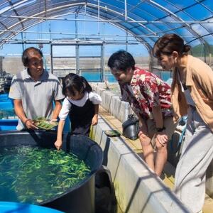 見て・触って・学べる!やんばるタッチプール＆飼育体験チケット2名様【1613754】