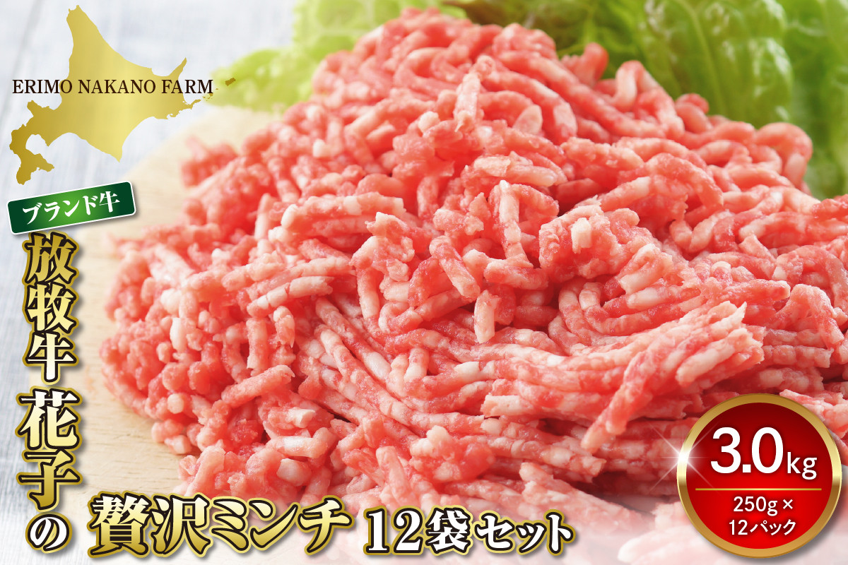 
特用牛ミンチ！放牧牛花子の挽き肉3000ｇ！【er008-018】
