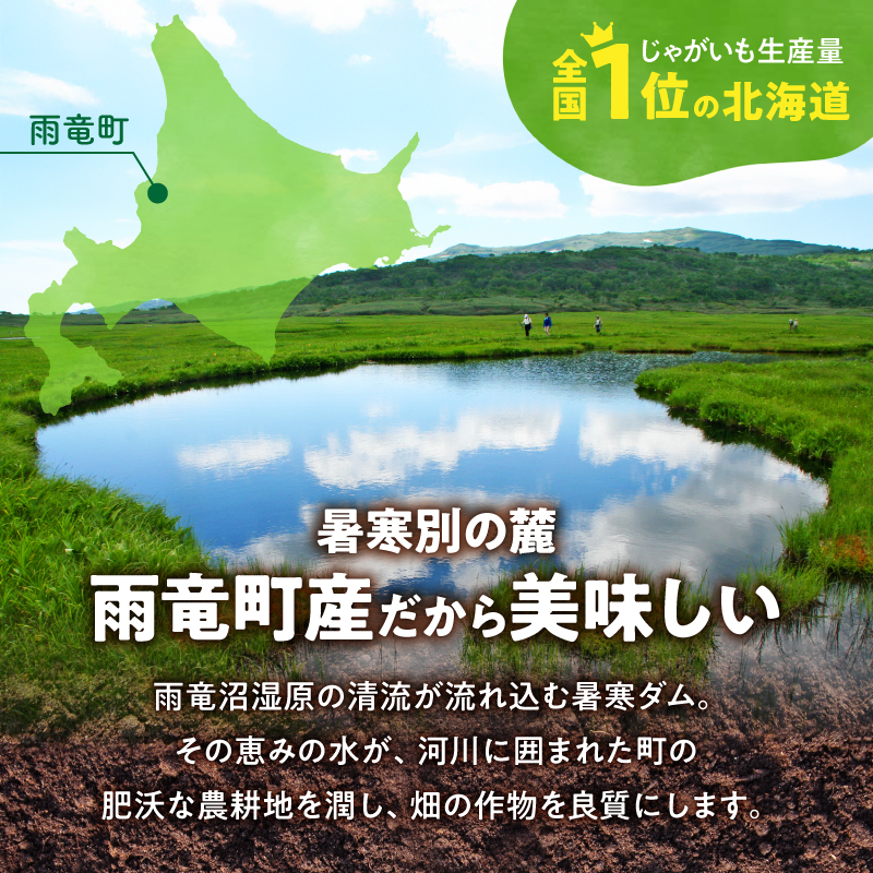 【先行予約】2026年9月下旬発送 北海道産 じゃがいも きたあかり 10kg 別名「栗じゃが」 甘くておいしい ジャガイモ 芋 いも 秋野菜 季節の野菜 直送農場 北海道雨竜町産 サイズ混同 野菜 
