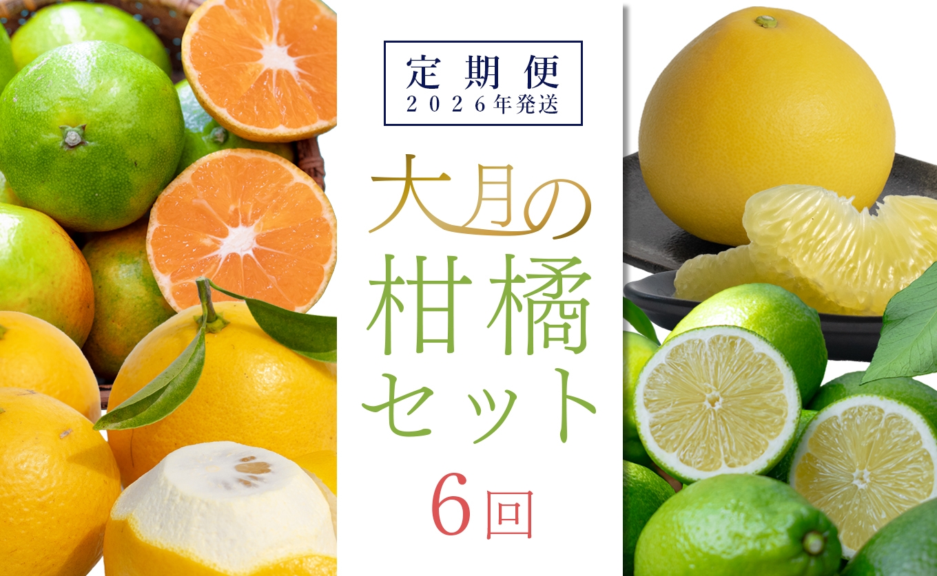 
            【定期便 6回】大月町旬の柑橘セット
          